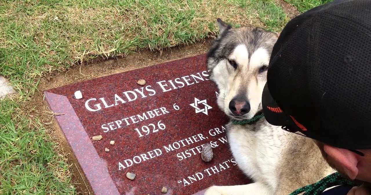 Loyal and Loving Canine Companion Weeps for Grandma... This Is Absolutely Heart Breaking!