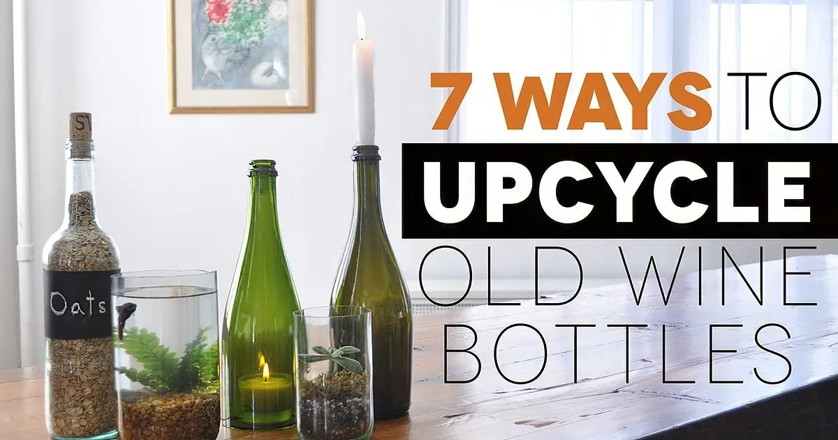 He Put Christmas Lights in a Wine Bottle. the Result? Shocking!