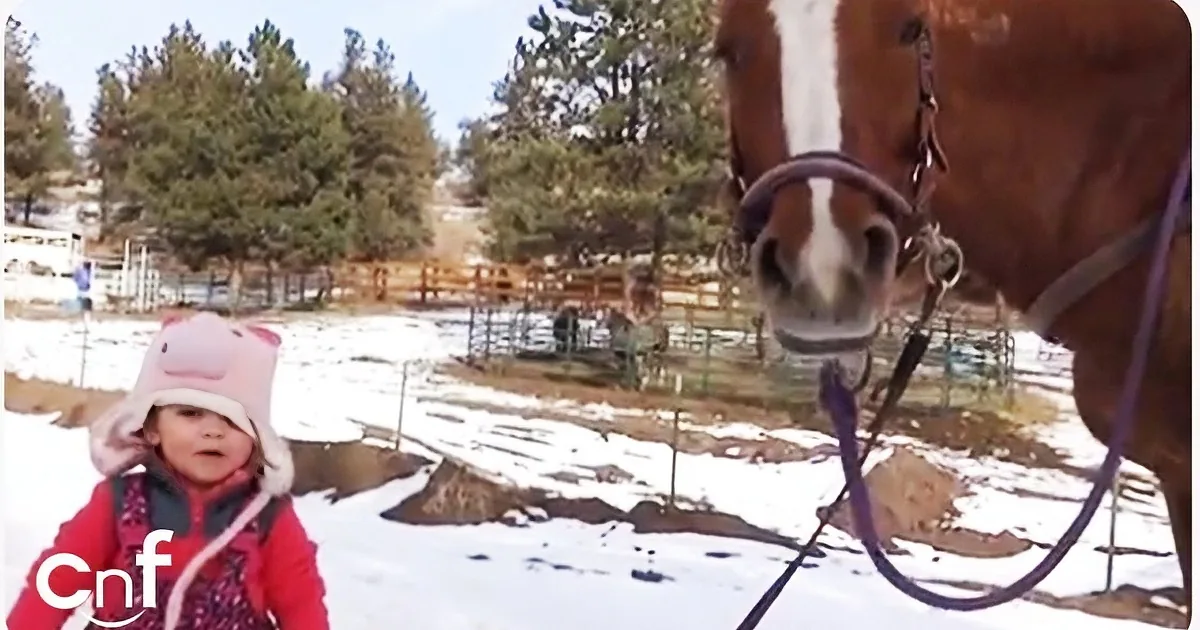 2 Years Old & Taking Her Horse out? You Have to See It to Believe It!