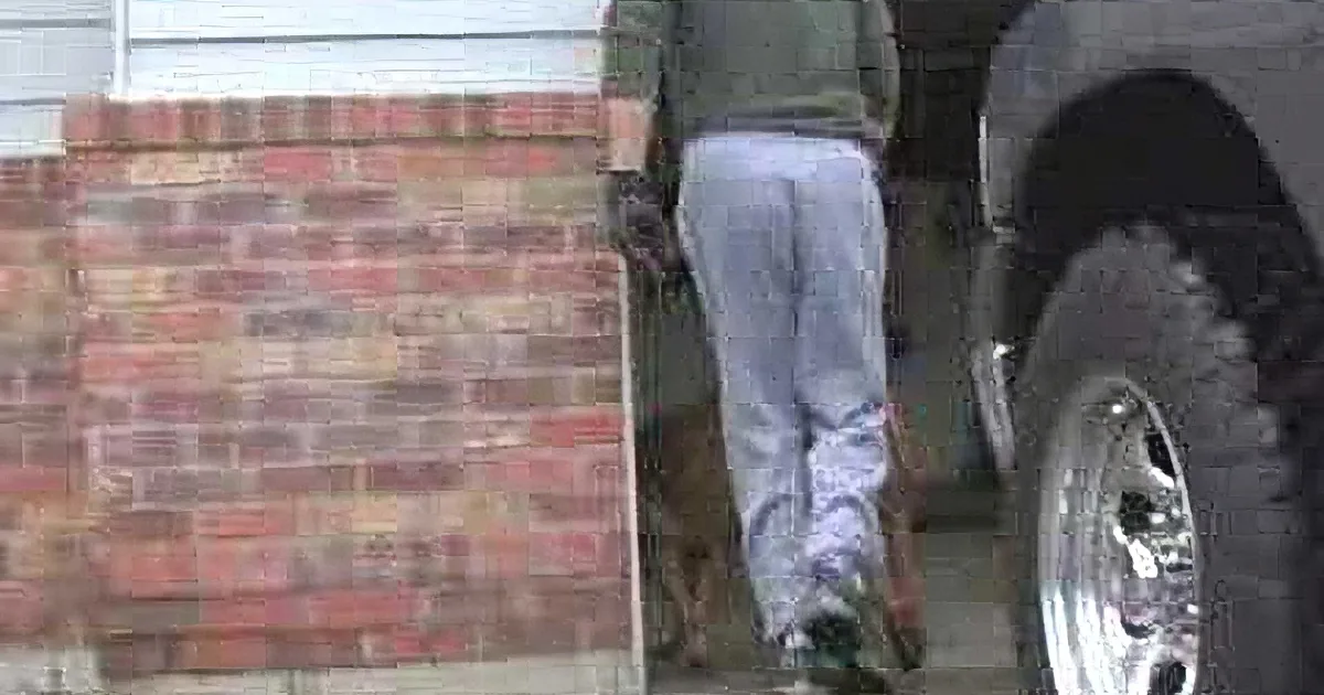 OMG. the Story of a Paralyzed Dog and His Master Will Leave You in Tears...