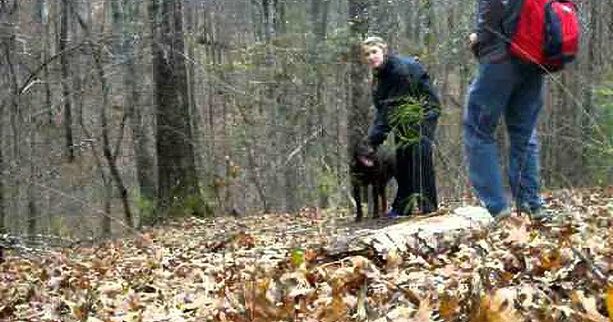 He Gets on His Knees to Propose. Then His Silly Dog Did This! Oh My Goodness!
