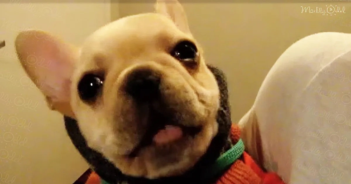 She Hugs Her Dog and Says ''I Love You''. His Response? I Wasn''t Prepared for This!