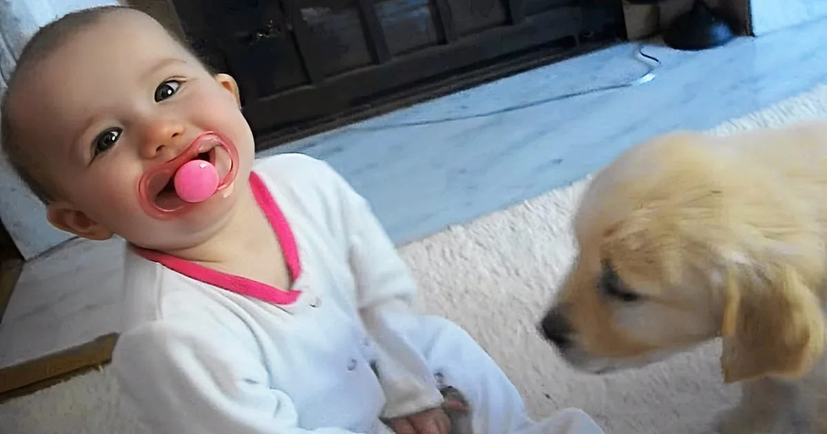 Adorable Baby Girl and Little Puppy Meet for the First Time. Too Cute!