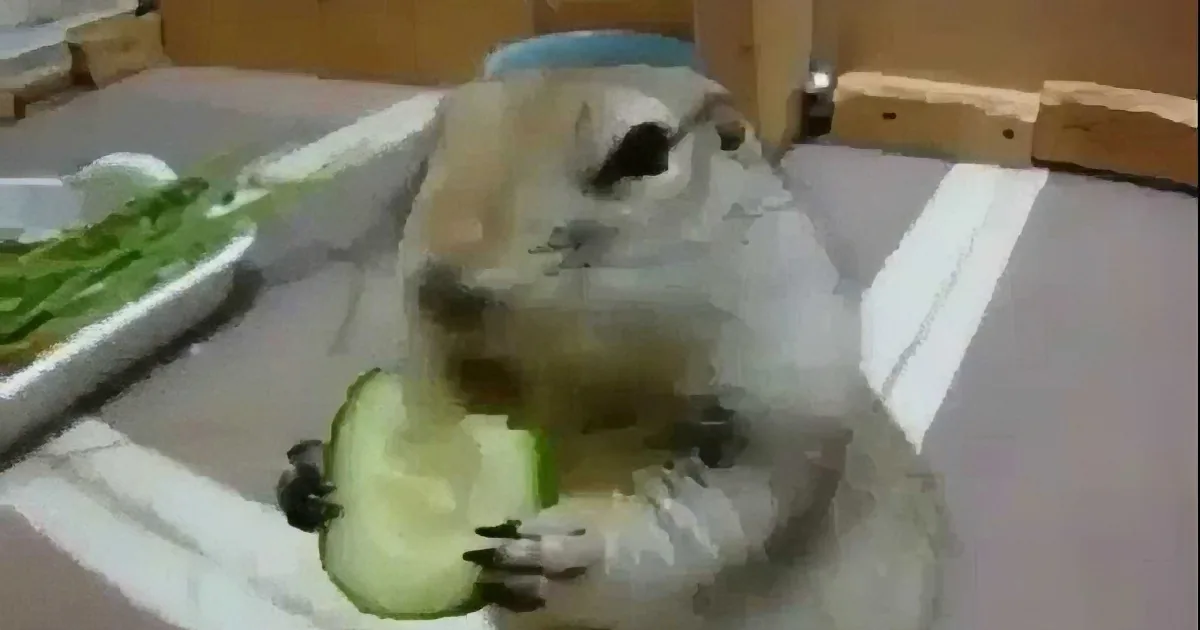 This Cute Little Squirrel Obviously Has Some Good Table Manners!