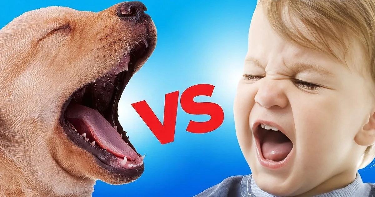 The Ultimate Battle of Cuteness! Puppies Take on Babies in Funny Battle!