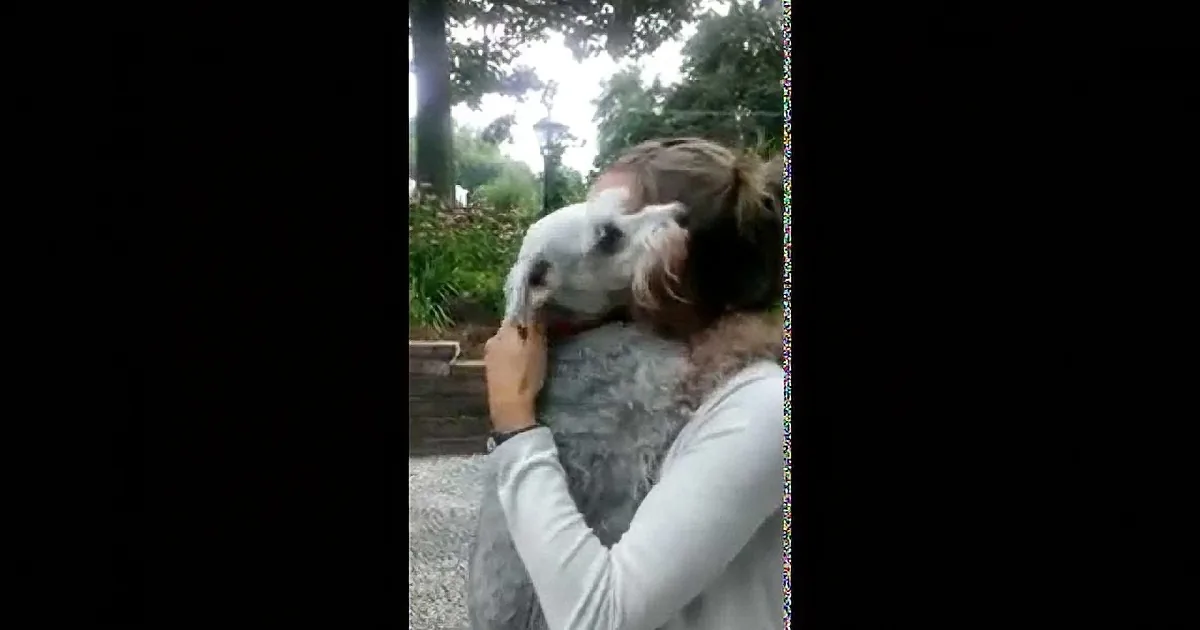 She Came Back Home After 2 Years. I Was Crying When I Saw What Her Dog Did Next! Aww!