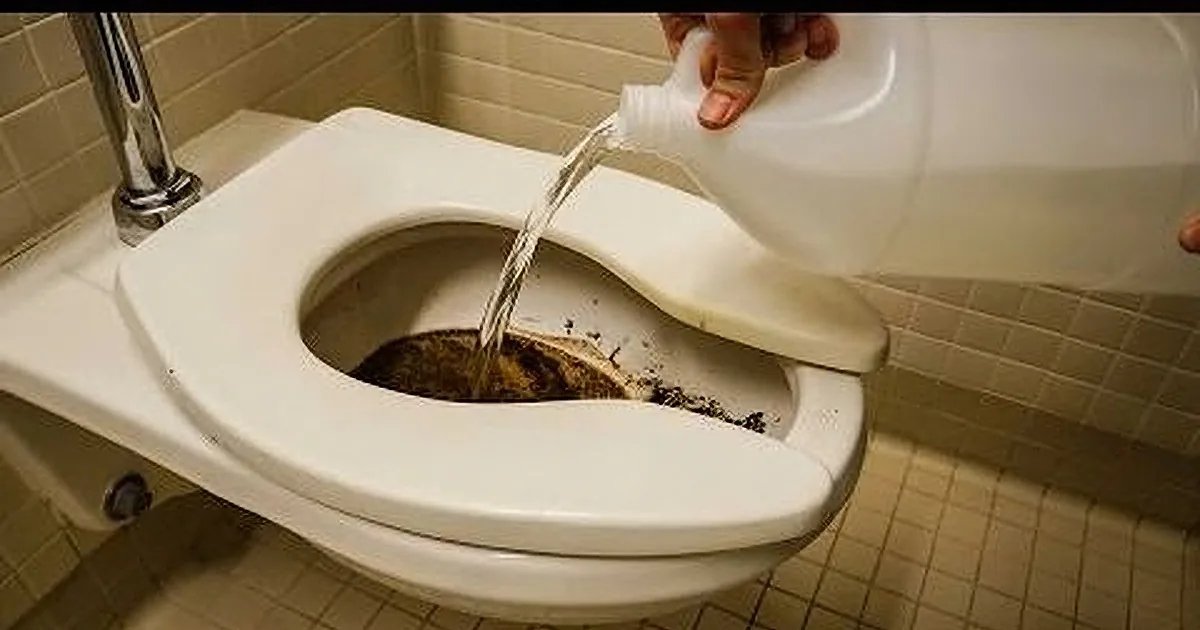 Pouring Vinegar Down the Toilet?? Yes!! Watch the Video to See Why!!