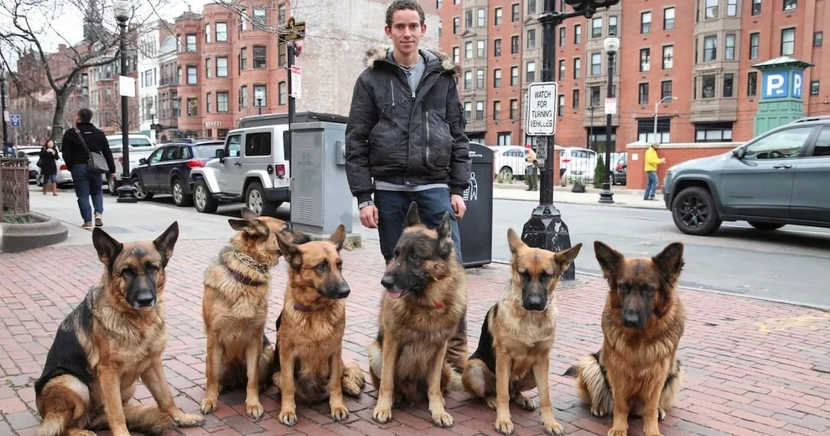A man stands surrounded by multiple images of a German Shepherd on a city sidewalk.
