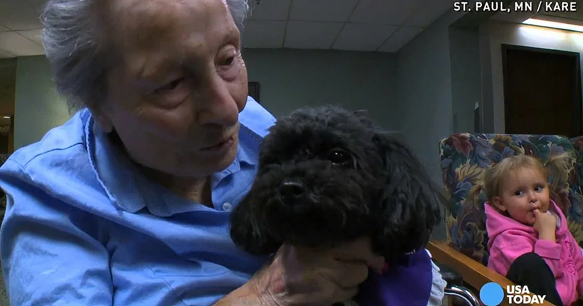 Each Day, This Pup Roams the Nursing Home. When I Saw the Reason, I Was in Tears!