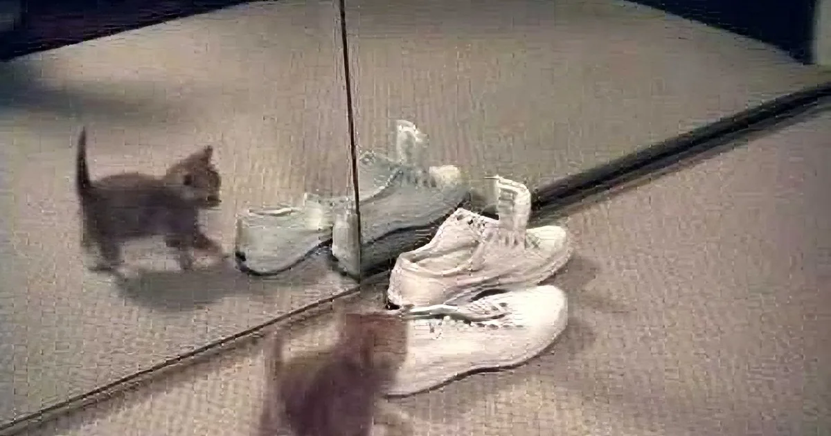 Someone Just Discovered His Own Reflection, but When He Did This I Totally Fell in Love!