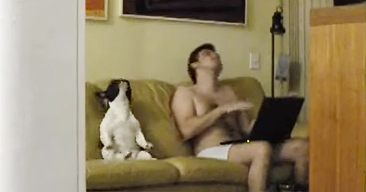 Wife Secretly Films Dog and Husband When She Realizes Something Is Odd