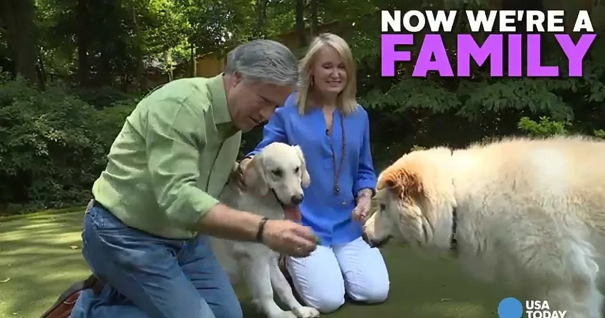 A man and woman kneel outdoors with a puppy and a larger dog, surrounded by greenery.