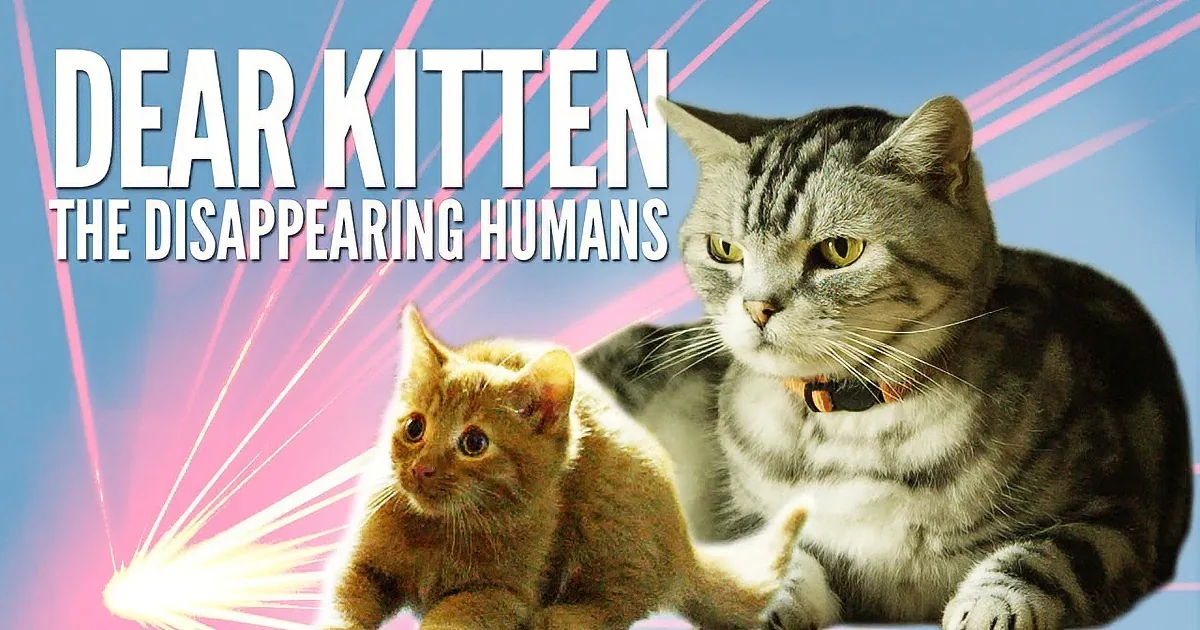 Oh My, This Kitty Gives a Hilarious View on Human Party Behavior to a Kitten!