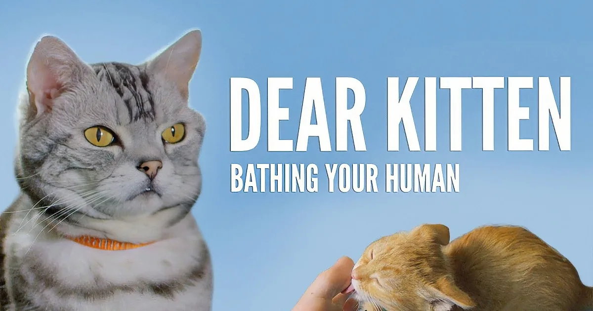 How to Care for Your Human' -- Too Cute!