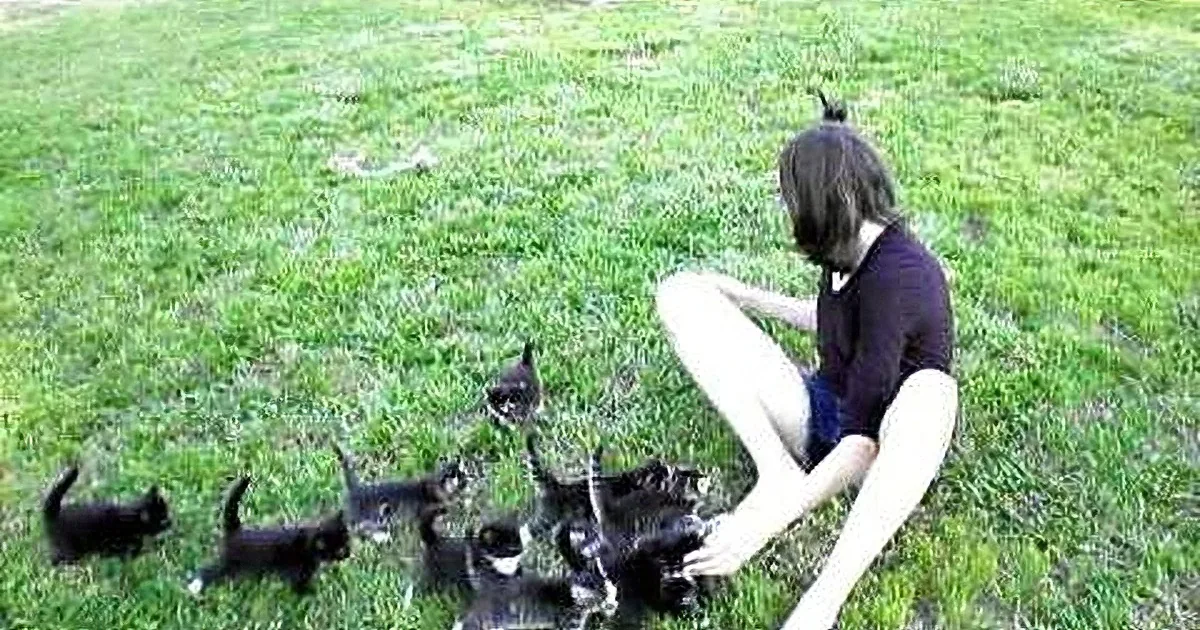A person sits on grass surrounded by a group of playful kittens.