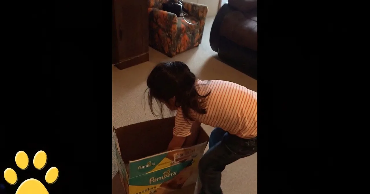 Whoa! When This Girl Receives Special Present, She Mistakes the Gift for Something Else!