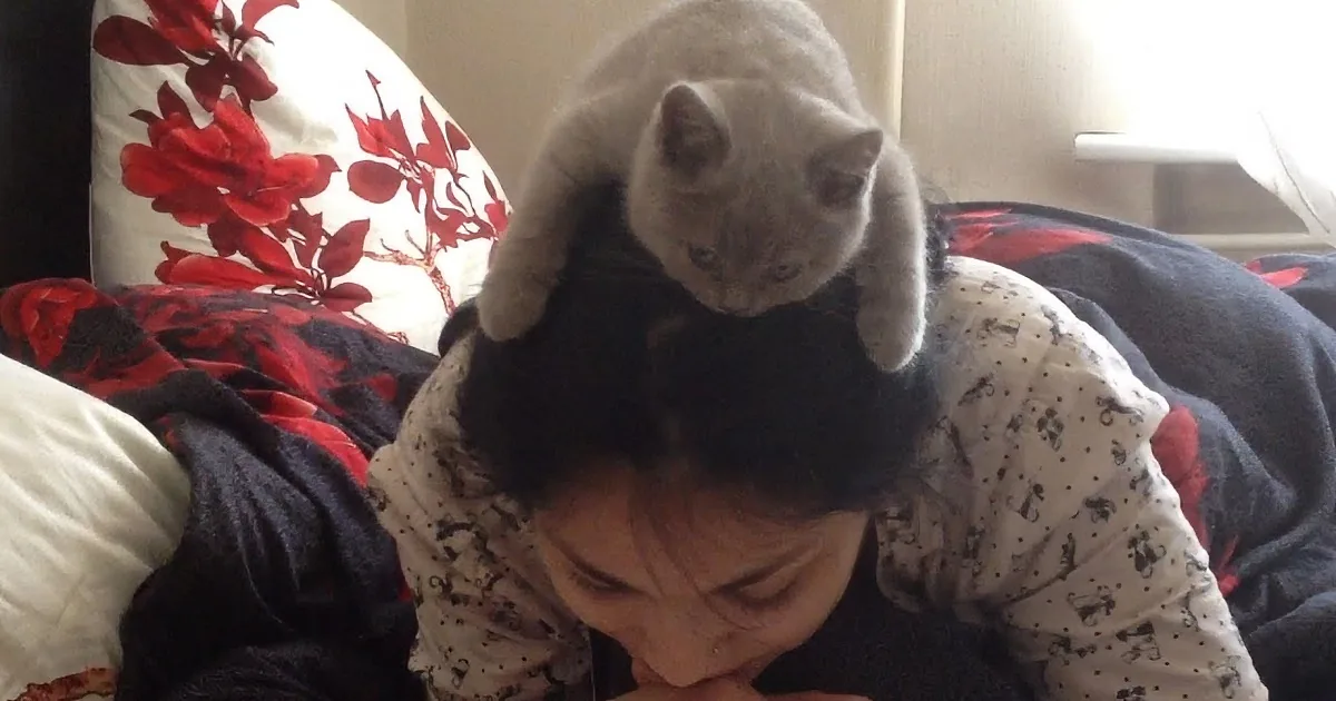 A person in pajamas reads a book on a bed with a cat perched on their head.