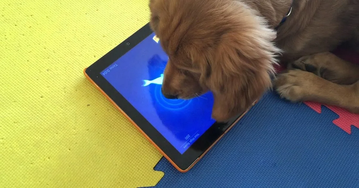 A golden retriever puppy curiously sniffs a tablet displaying a fish game on a colorful mat.