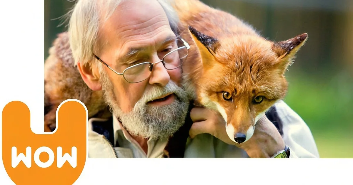 An elderly man holds a fox on his shoulder, both appearing calm and close.