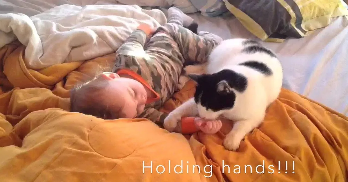 A baby and a cat are sleeping together, holding hands on a bed with orange and white blankets.