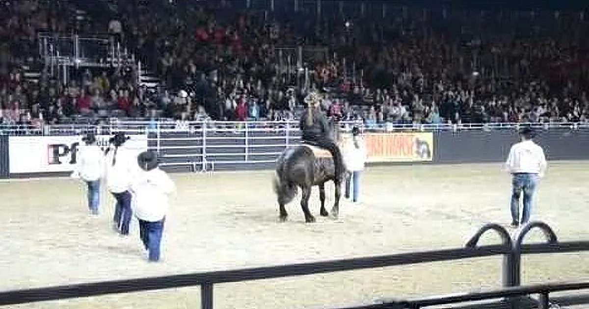 A person rides a horse in a rodeo arena, surrounded by spectators and rodeo staff.