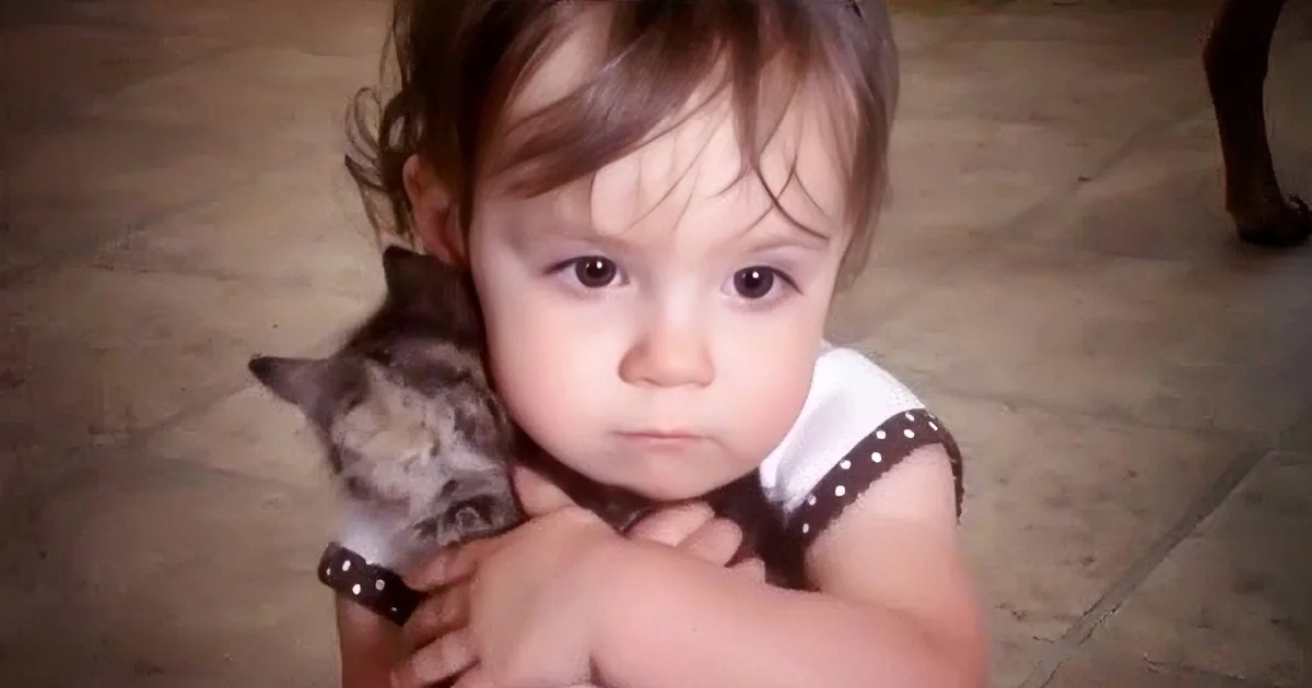 This Kitty Found a New Parent! Watch Little Olivia''s Response to Her New Kitten Baby, Aww!
