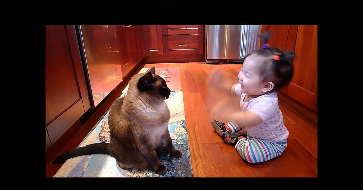 This Sweet Cat Attempting to Calm the Baby Deserves a Babysitting Award