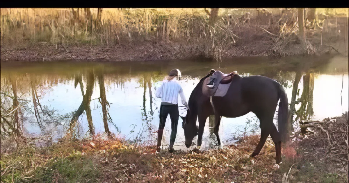 This Horse Was Scared of Water, but Watch What Happens When She Does This... Hilarious!
