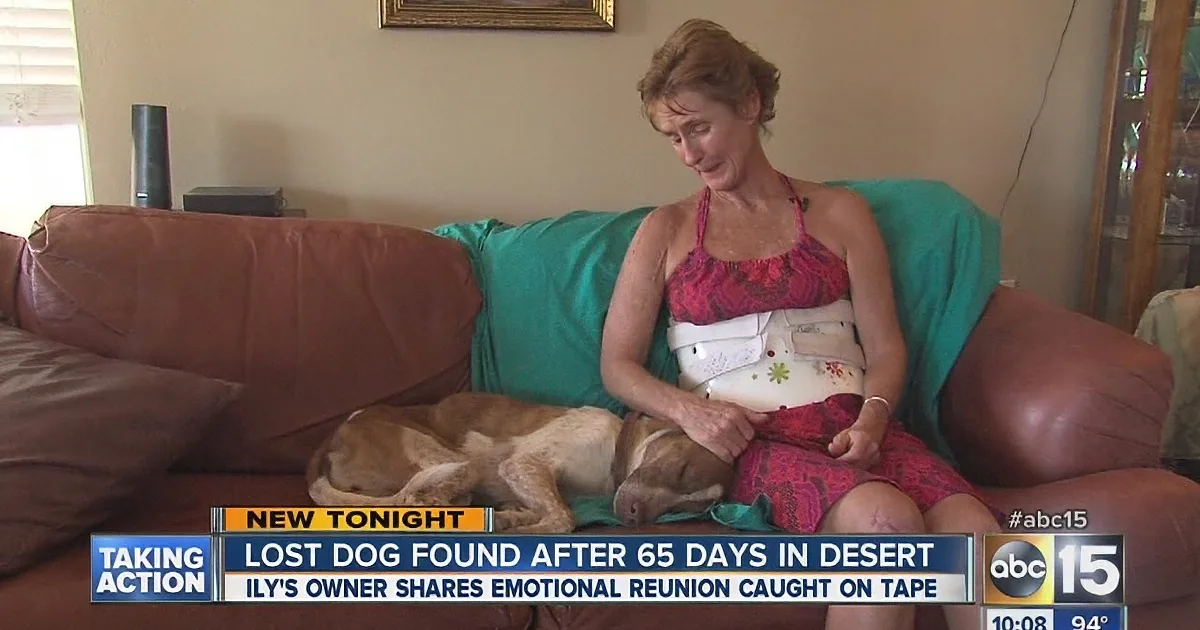 A woman sits on a couch, holding a dog, with text about a lost dog found in the desert.