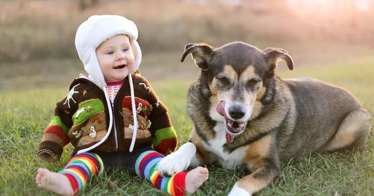 A baby in a colorful outfit sits on grass with a dog, both appearing happy and playful.