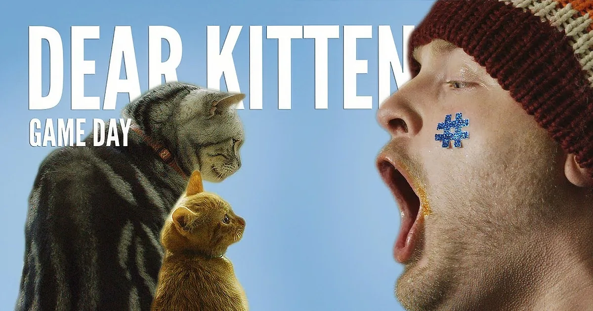 The Super Bowl Through the Eyes of a Cat!
