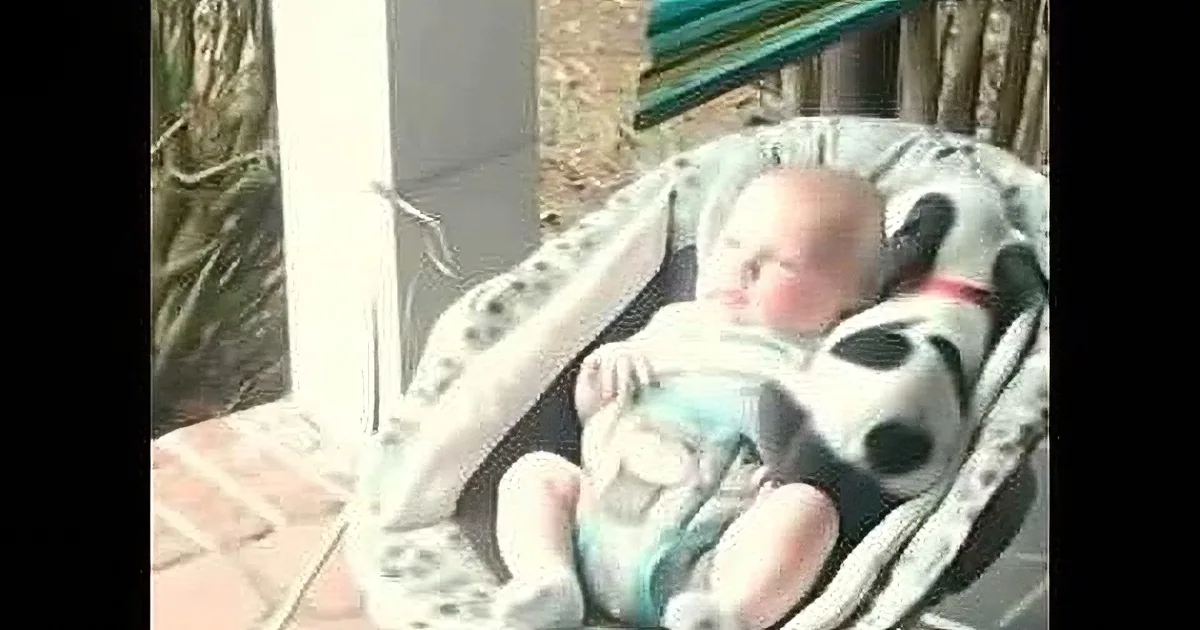 A baby is lying in a stroller, wearing a bib and looking relaxed.