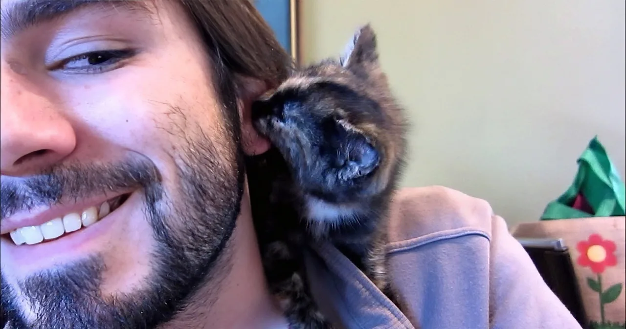 This Video Had Me Smiling Until the Very End. Kitten Kisses for Everyone... Absolutely Adorable!