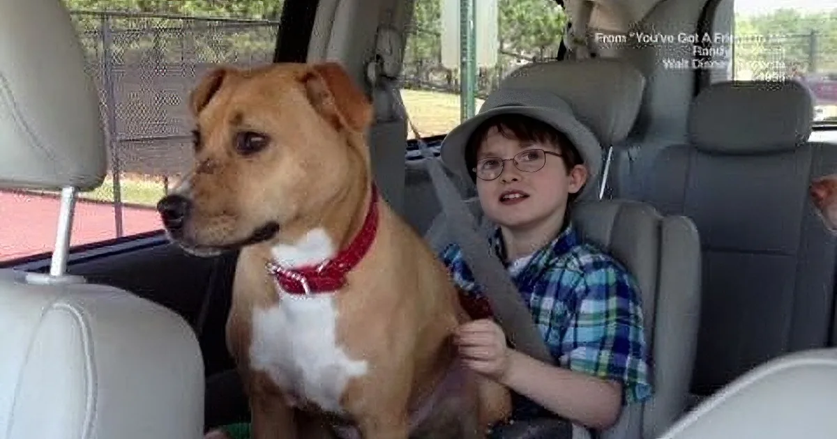 They Thought They Would Rescue the Dog, but It Was the Dog That Rescued Them! I''m in Tears!