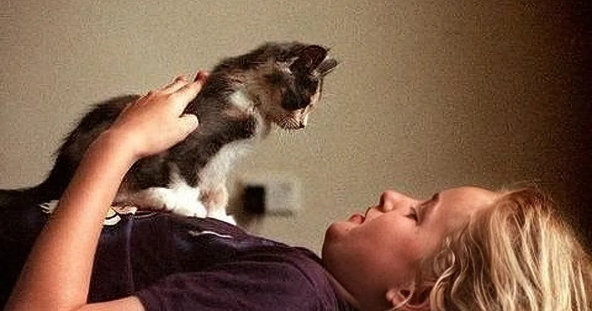 Cats Are More Than Just Cute Cuddly Furballs. They Teach Us How to Live! I Loved This Video!