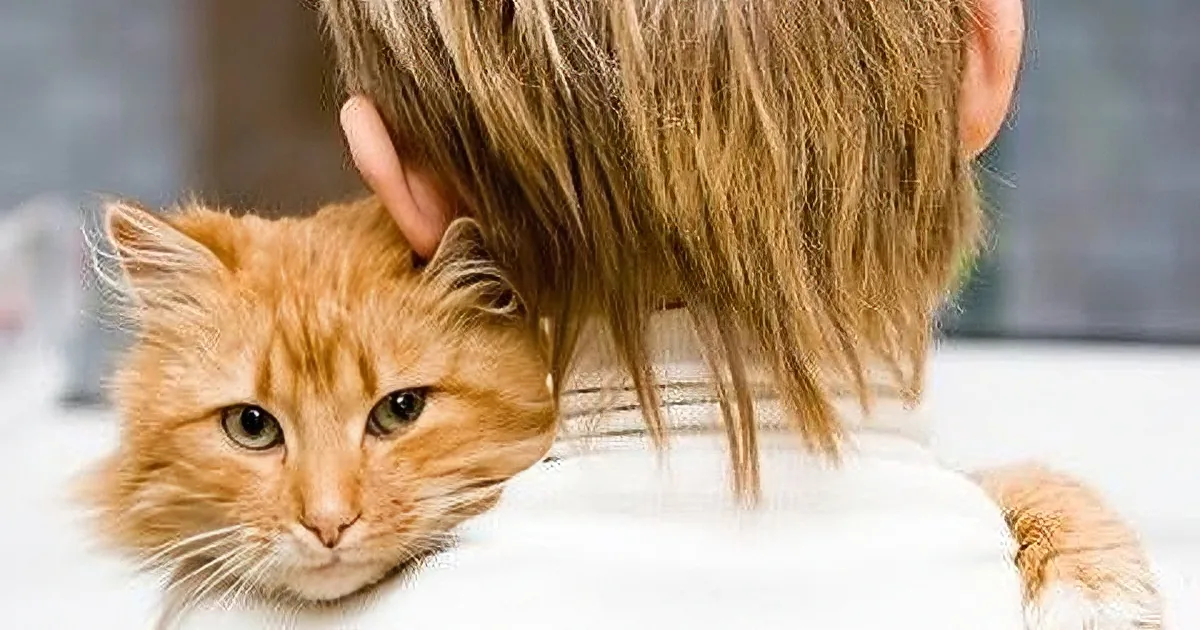 Not Only Are Dogs Are Man''s Best Friend -- so Are Cats! This Adorable Video Is Proof!
