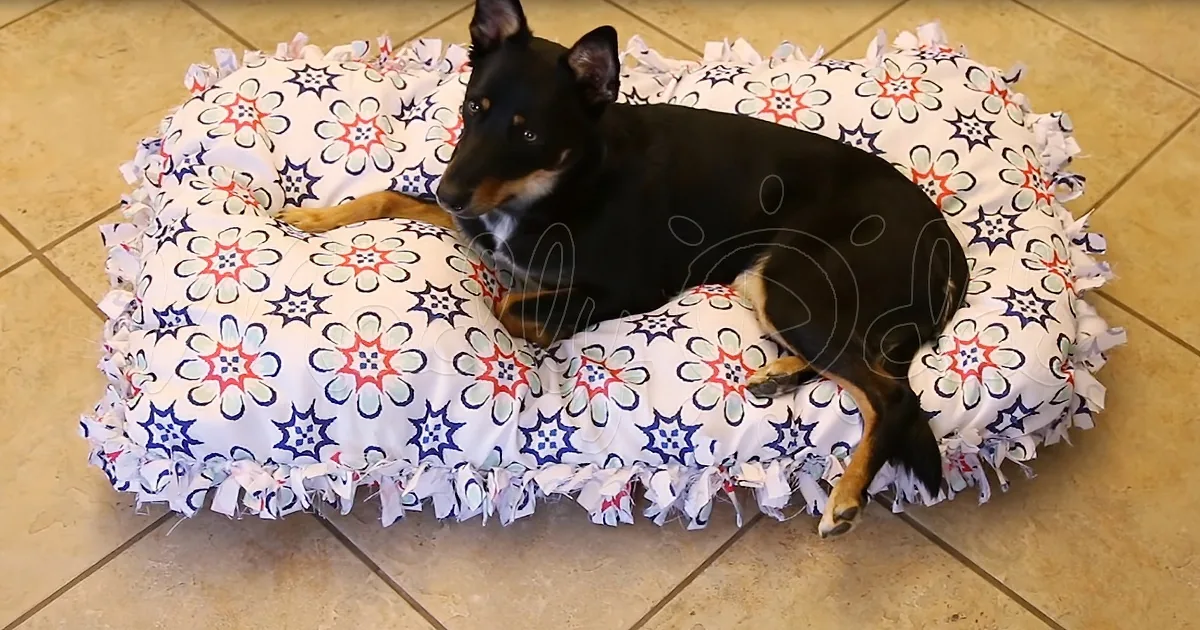 Tired of Seeing the Same Pet Beds in Stores? Make This No-Sew Pet Bed for Next to Nothing