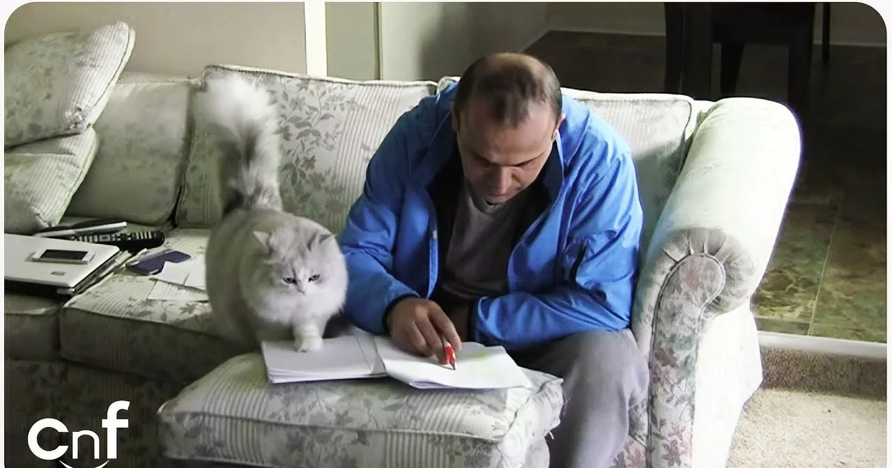 A man sits on a floral couch, writing, with a cat playfully jumping nearby.