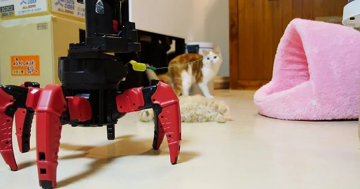 A robotic spider toy with a laser pointer plays with a curious cat in a cozy indoor setting.