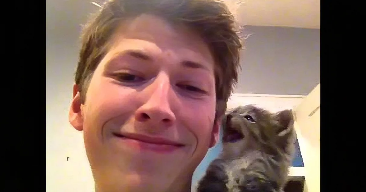 Precious Kitten Tries to Meow. We Try to Keep It Together... Too Cute for Words!