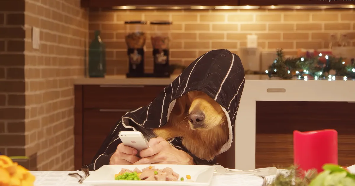 Dogs have Christmas dinner video