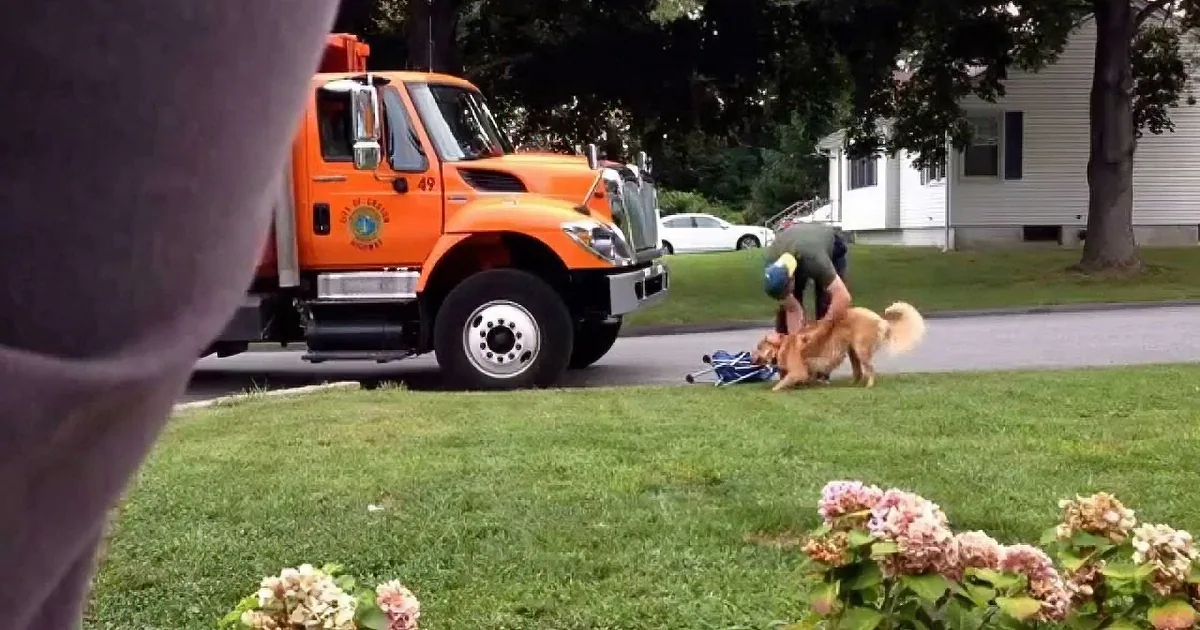 An orange truck is parked near a person and a dog on a grassy lawn with flowers in the foreground.