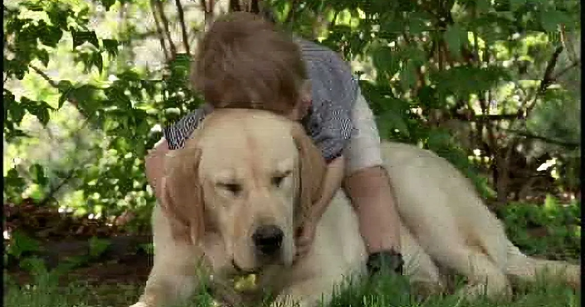 This Toddler Is Treating the Family Dog to Some Biscuits, Then This Happens... Awwww!