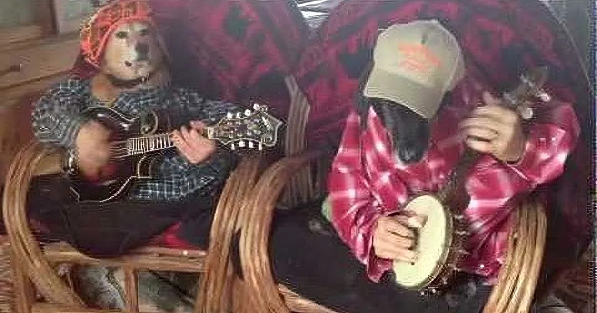 Dogs Playing Bluegrass! Yup! the Video You Need to See to Believe - Too Funny for Words!