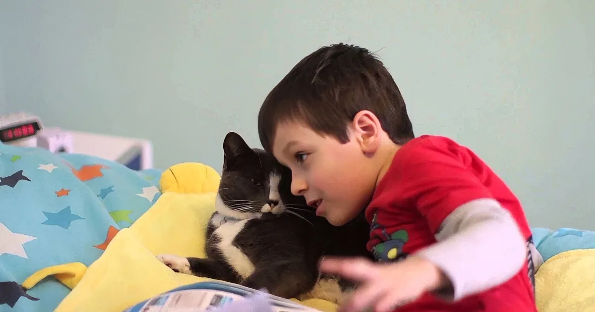 ''Miracle Worker'' Cat Makes Life Easier for Little Boy Living With Autism. You''ll Break Down in Tears!