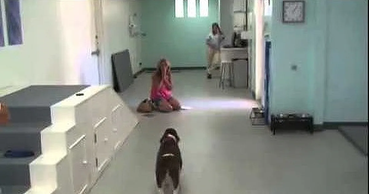 A woman in a pink top sits on the floor, surrounded by a dog and a room with medical equipment.