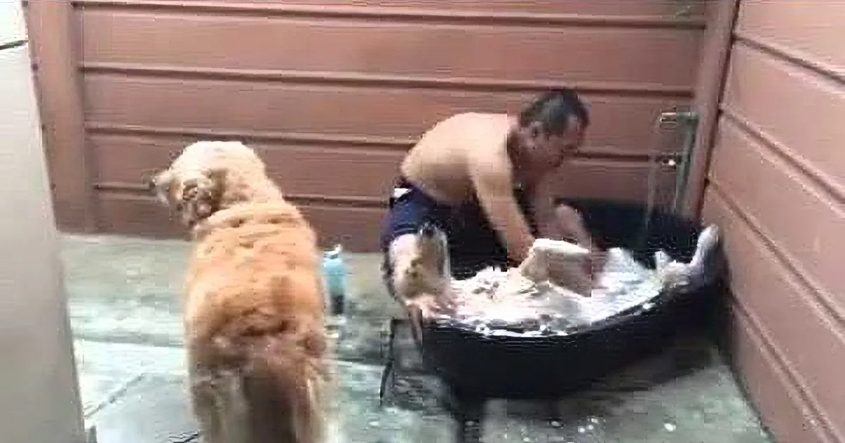 This Dog Loves the Spa Treatment!