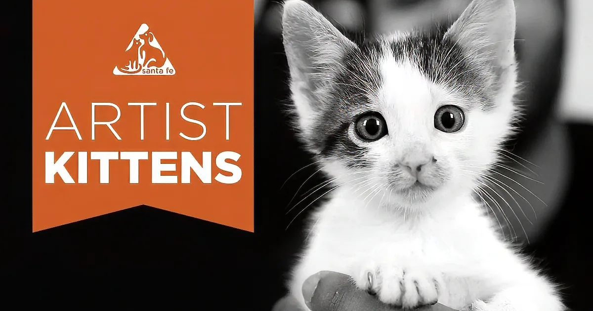 Santa Fe Animal Shelter Set up a Foster Program. Follow the Story of These Kittens! Inspiring!