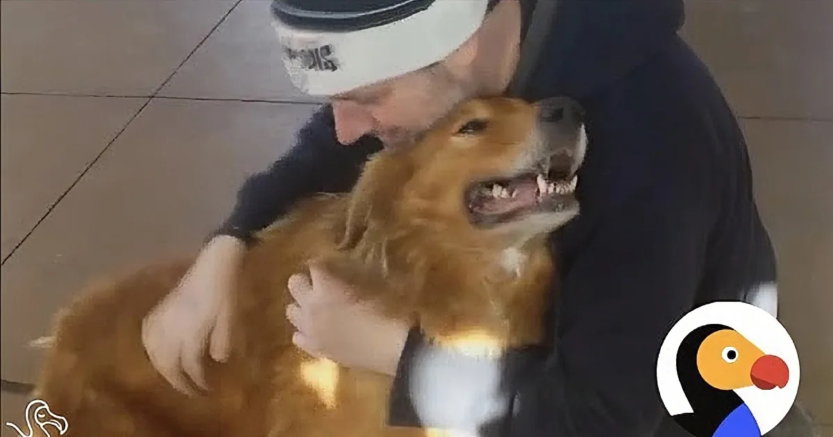 Heart-Warming Reunions of Dogs Who Found Their Way Home!