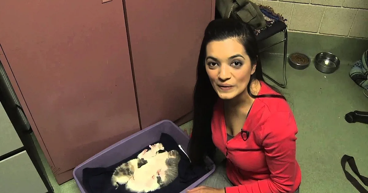 A woman in a red shirt sits beside a purple container with kittens, in a room with pet bowls and a bag.